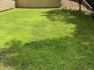 Christine S.'s lawn care services service result