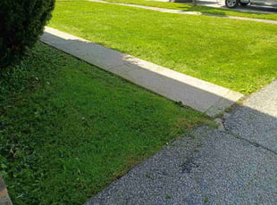 Kendra S.'s turf care service result