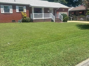 Matt C.'s turf care service result