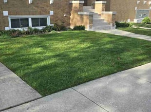 Joe R.'s lawn care service result