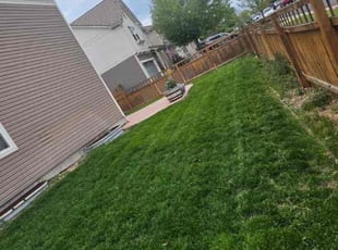 Audrey O.'s lawn care service result