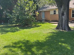 Michael G.'s grass maintenance service result