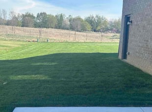 Judith K.'s lawn service service result