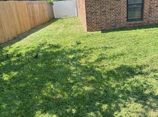 Aliye L.'s lawn service service result