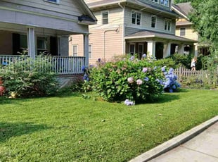 Salma F.'s lawn care service result