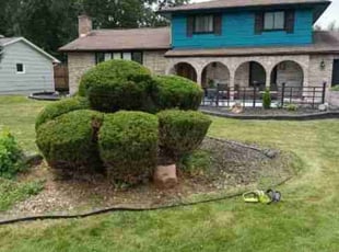 James C.'s Bush Trimming service result