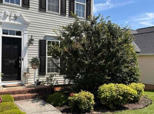 Jesse W.'s Tree Care service result
