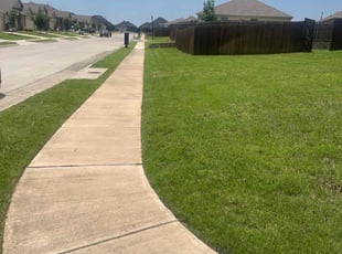 Ray S.'s grass maintenance service result