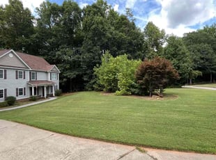 Laura F.'s turf maintenance service result