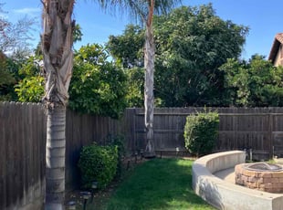 Stan D.'s Tree Care service result