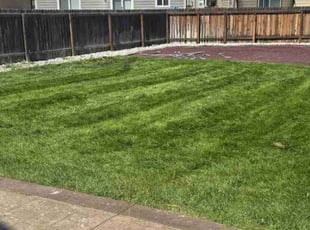 Scott M.'s lawn care service result