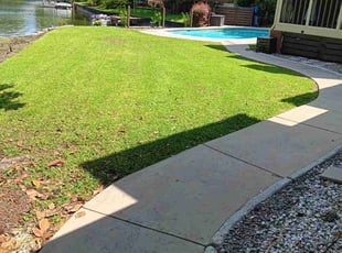 Kevin P.'s turf maintenance service result