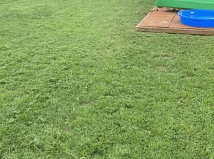 Michael B.'s lawn service service result