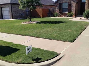 Jane M.'s lawn care service result