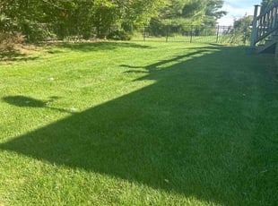 Dru R.'s landscape maintenance service result