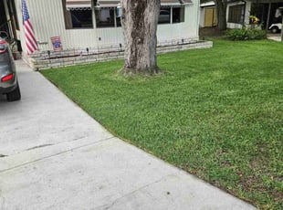 Lisa B.'s grass maintenance service result