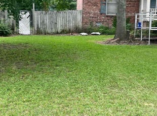 Shira C.'s grass cutting service result