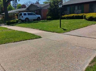 Phillip M.'s lawn service service result