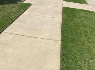 Ingrid E.'s grass maintenance service result