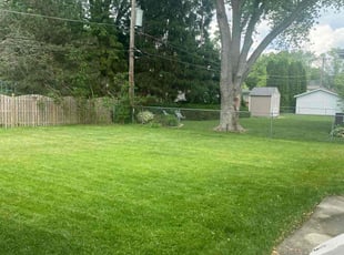 Rachel L.'s grass cutting service result