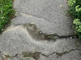 Eva L.'s lawn care service result