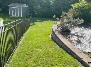 Angela P.'s turf care service result