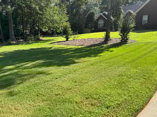 Tyiese W.'s grass cutting service result
