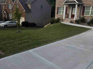 Sadia H.'s lawn care services service result