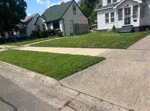 Delwyn B.'s grass maintenance service result