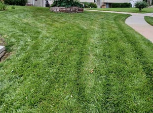 Robert K.'s grass cutting service result