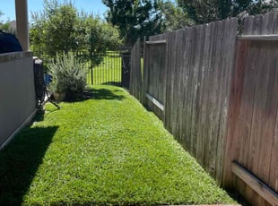 Kimberly S.'s grass cutting service result