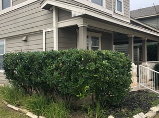 Jerry F.'s Bush Trimming service result