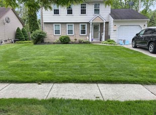 Joann D.'s grass cutting service result