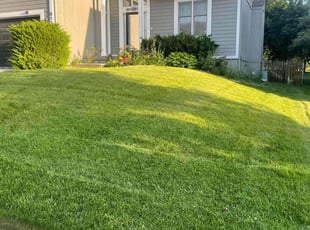 Carole M.'s lawn maintenance service result