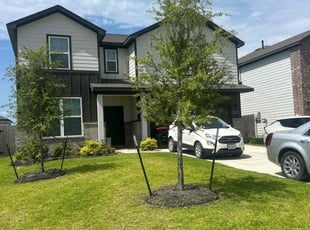 Jake F.'s yard care service result