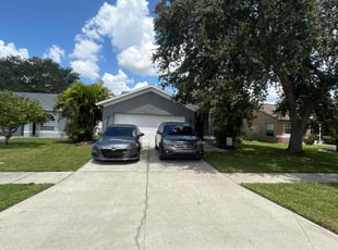 Dallas B.'s turf care service result