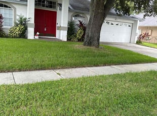 Carla H.'s turf care service result