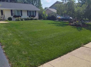 Doroteo B.'s grass maintenance service result