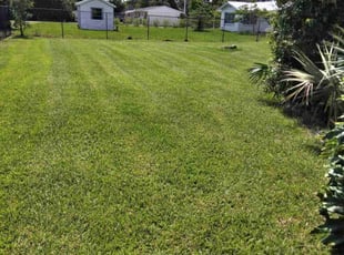 Dwayne M.'s grass maintenance service result