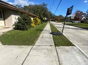 Michael D.'s lawn care service result