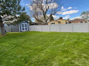 Cynthia P.'s grass cutting service result