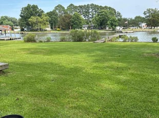 Mimi A.'s turf care service result