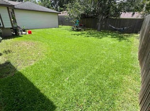 Robin B.'s lawn care service result