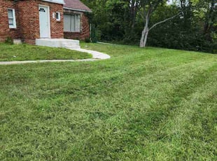 Rafeed A.'s turf care service result