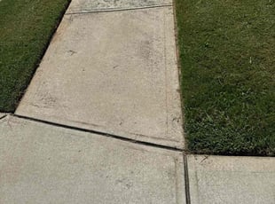 Marie C.'s grass maintenance service result