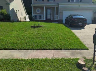 Alan C.'s lawn care service result