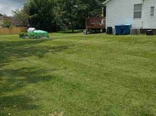 Amy W.'s lawn service service result