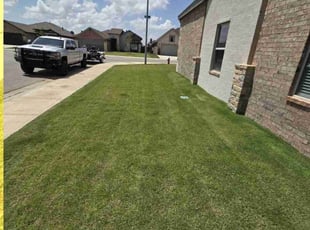David M.'s lawn care service result