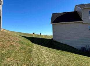 Dana B.'s lawn maintenance service result