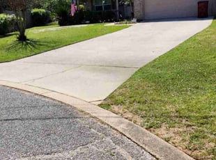 Chris H.'s turf care service result